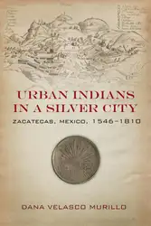 Urban Indians in... image